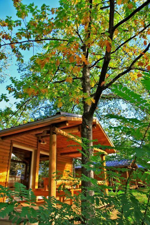 Albirondack Camping Lodge & Spa Bilik gambar